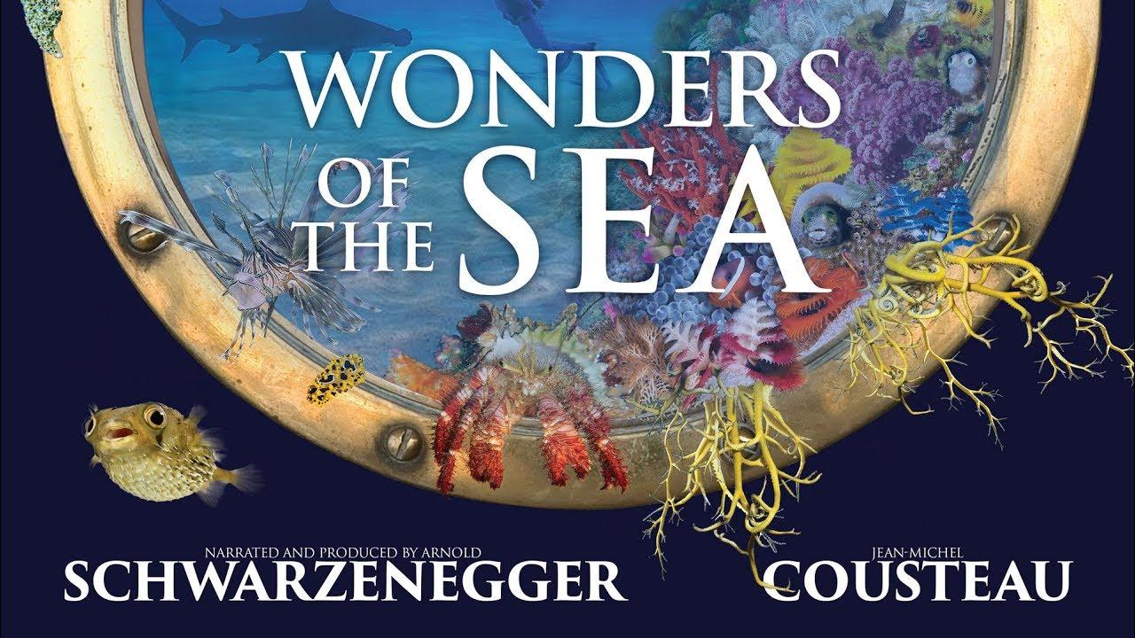 Wonders of the Sea Trailer