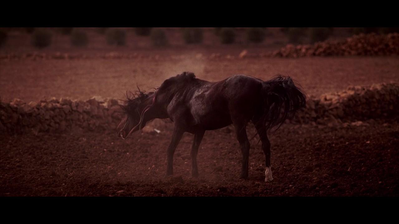 Sweat Rain Trailer