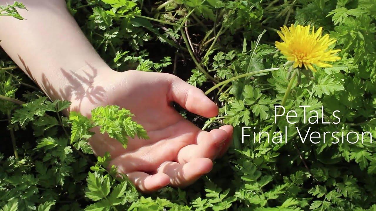 PeTaLs Trailer