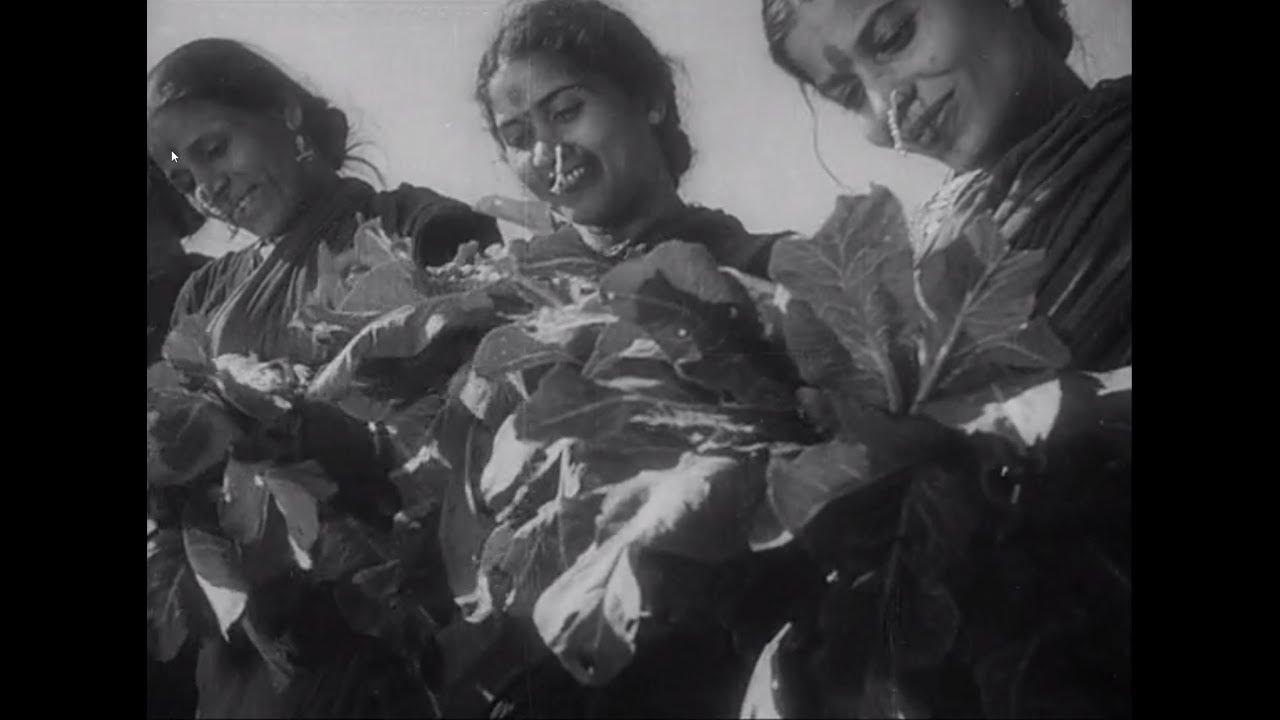 In Rural Maharashtra Trailer
