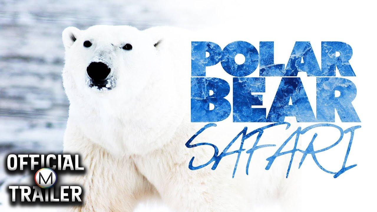 Polar Bear Safari Trailer
