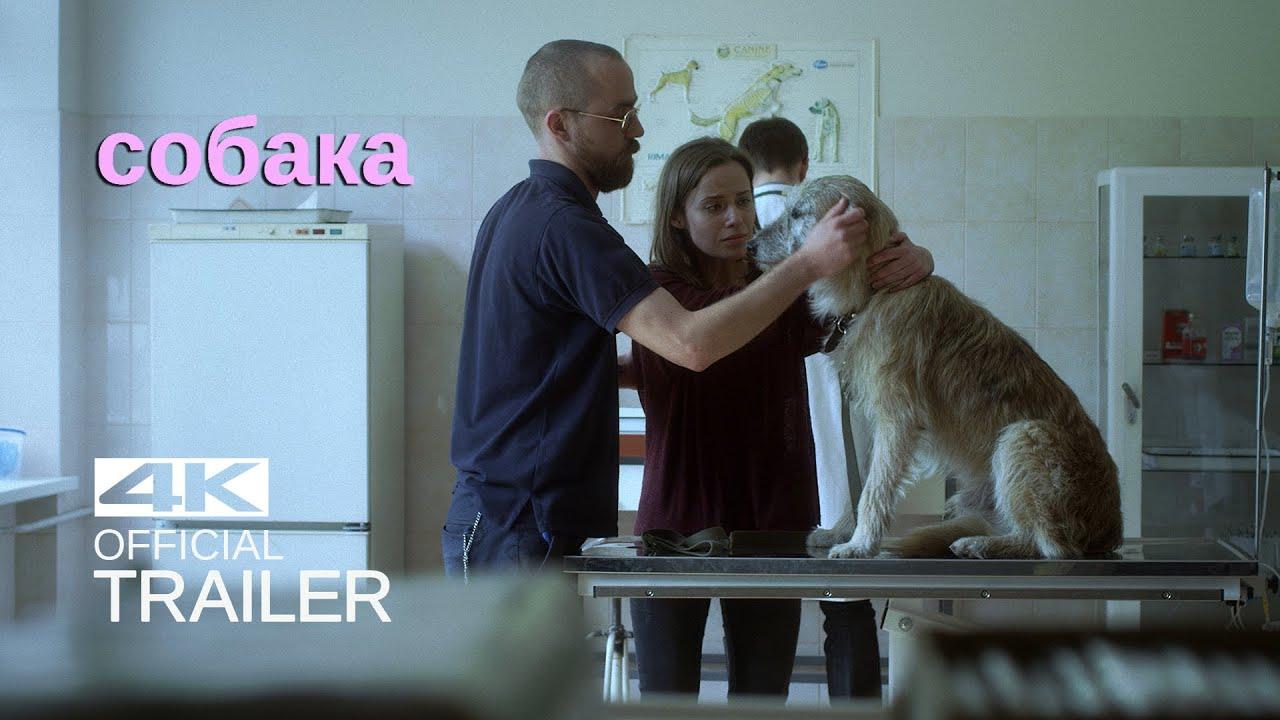 Doggone Trailer