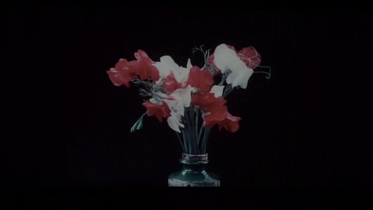 Varieties of Sweet Peas Trailer