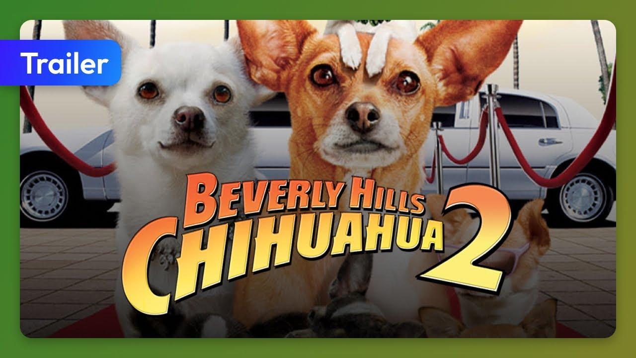 Beverly Hills Chihuahua 2 Trailer