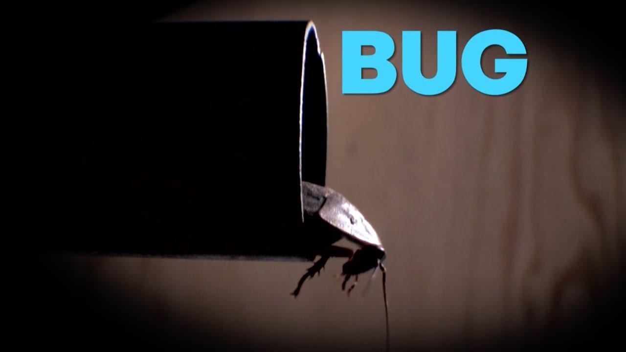 Bug Trailer