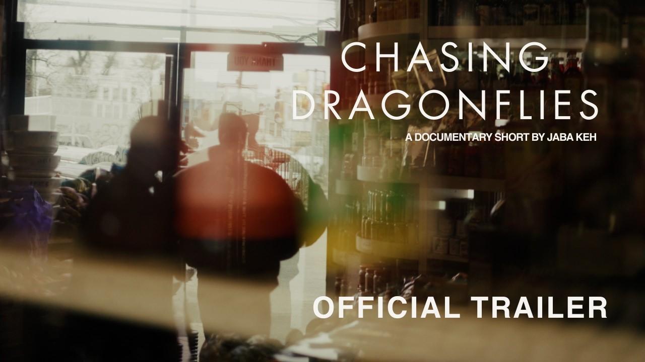 Chasing Dragonflies Trailer
