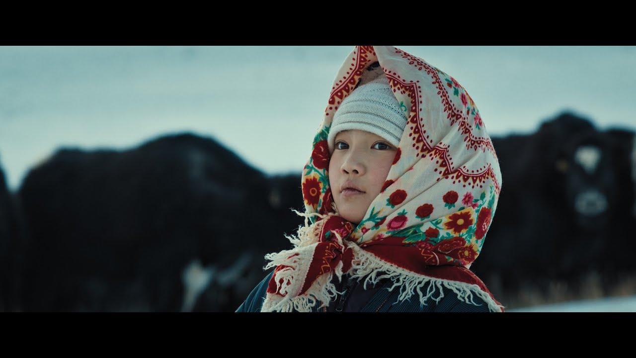 The Mountain Wagtail Trailer