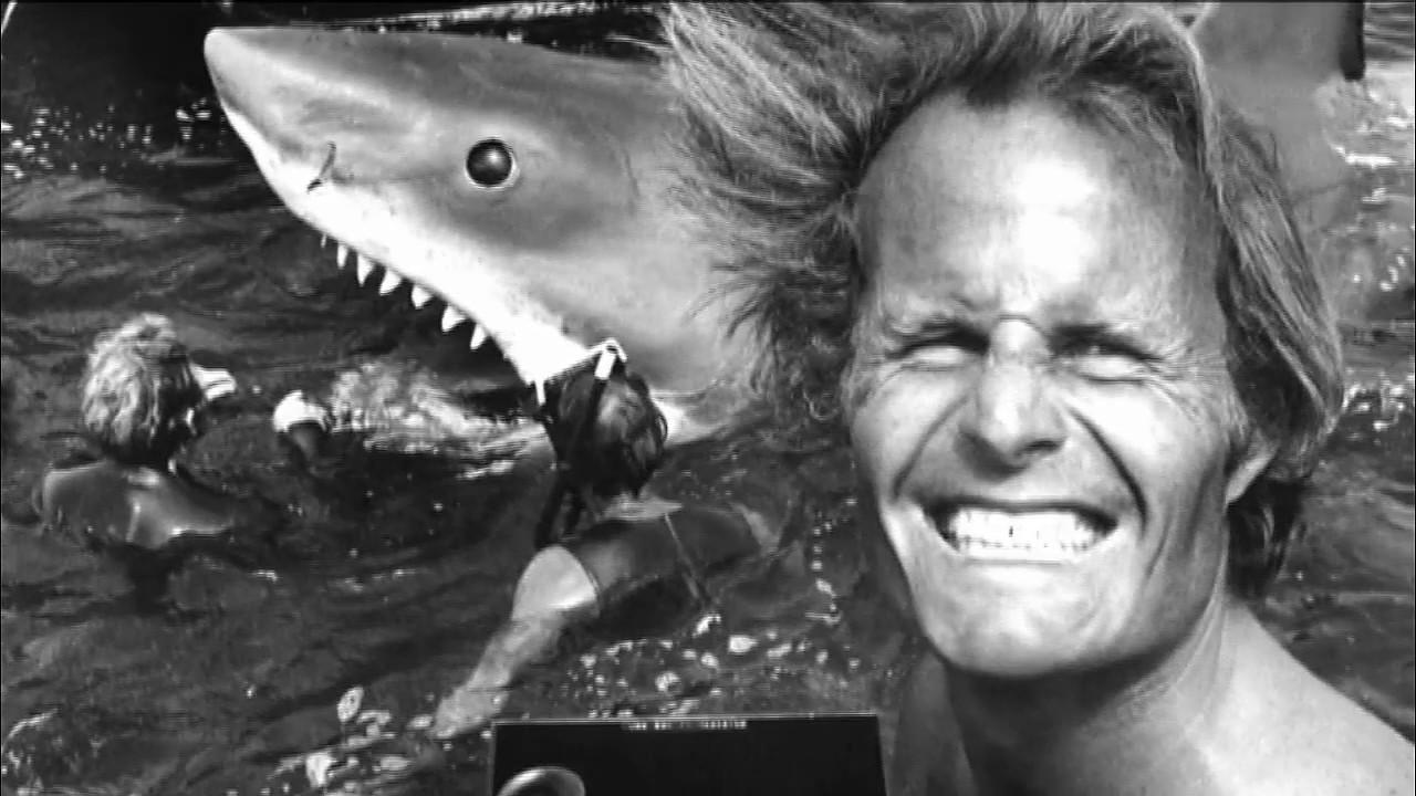 The Shark Is Still Working Trailer