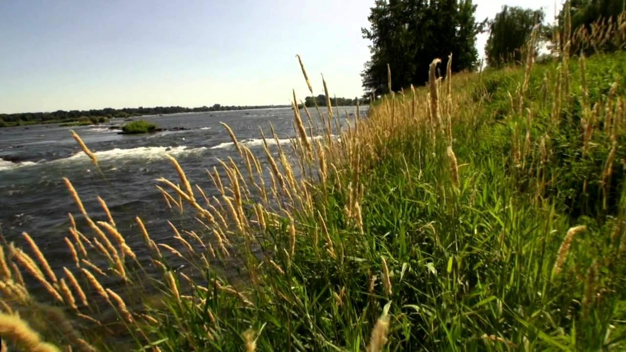 Where I'm From Trailer