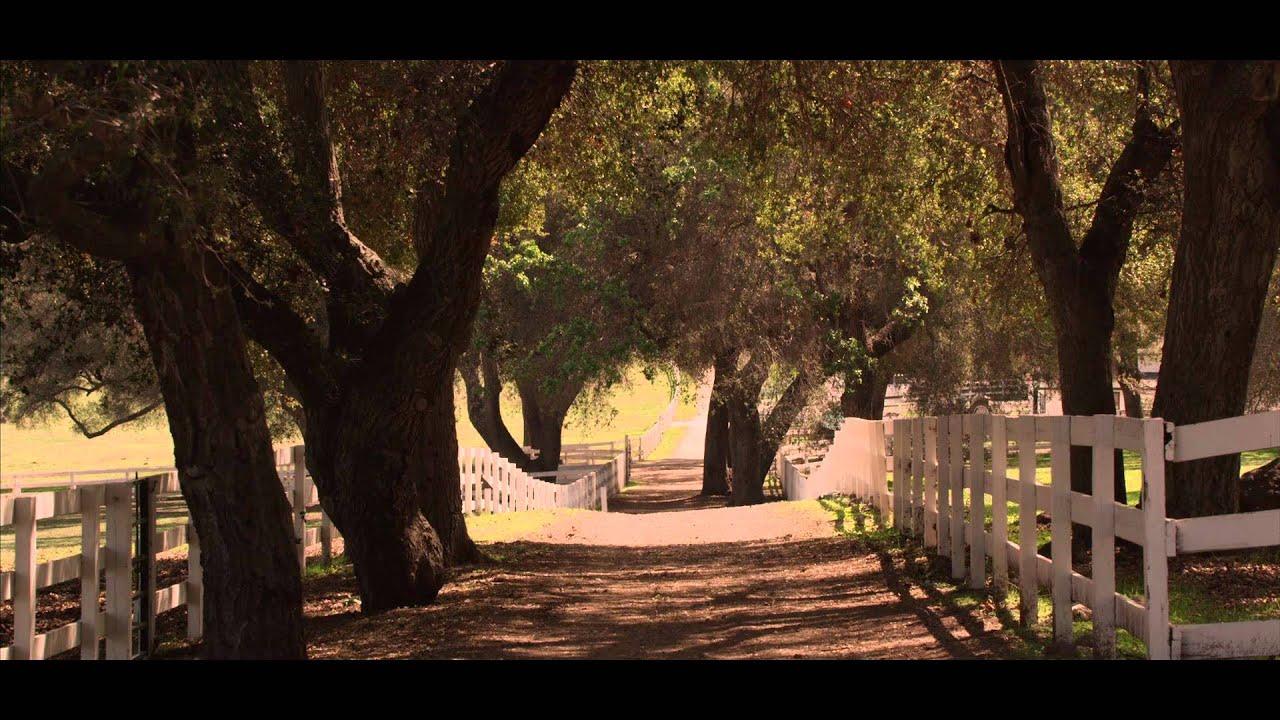 Girl on the Edge Trailer