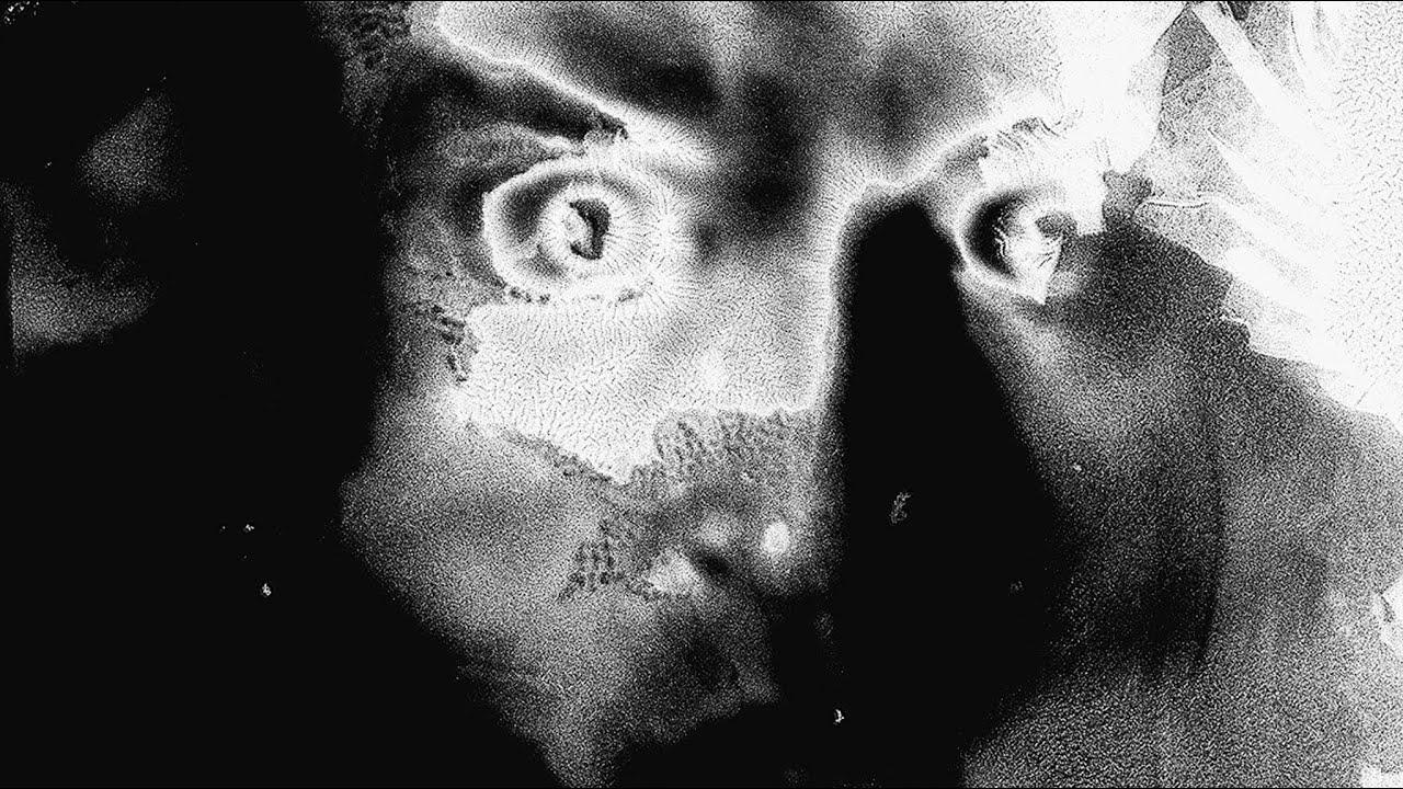 Fat Chance Trailer