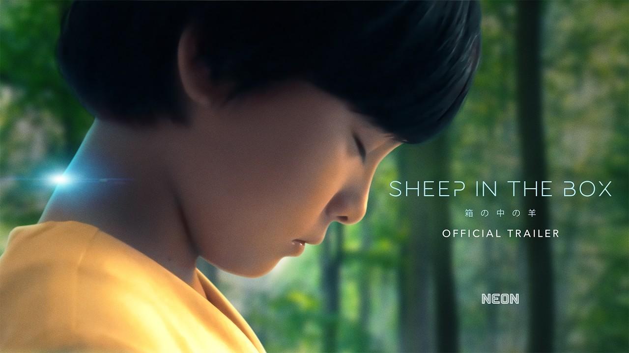 Sheep in the Box Trailer
