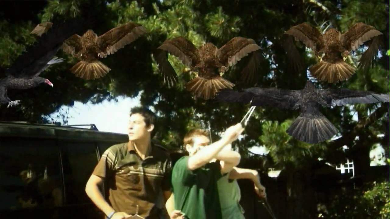 Birdemic: Shock and Terror Trailer