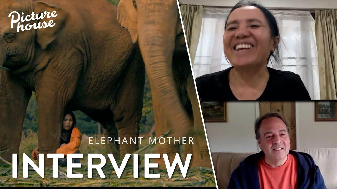 Elephant Mother Trailer