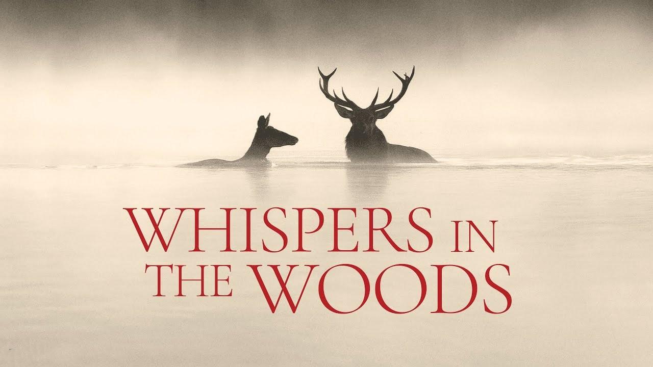 Whispers in the Woods Trailer