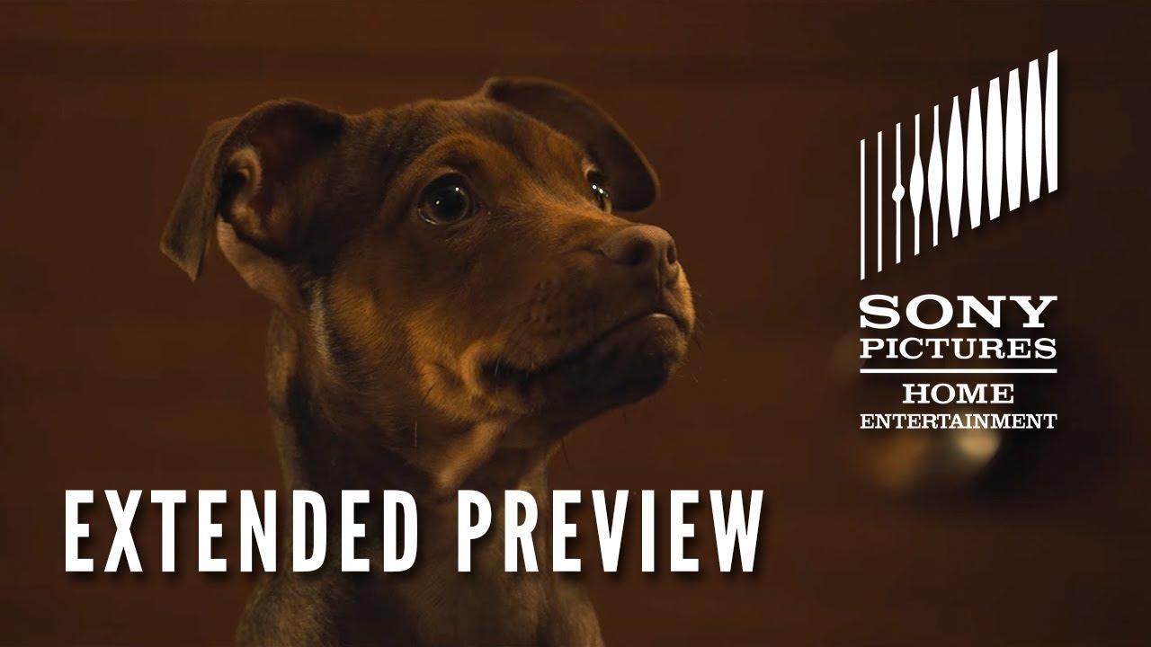 A Dog's Way Home Trailer