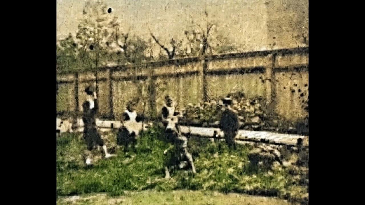 Children Playing in the Garden Trailer