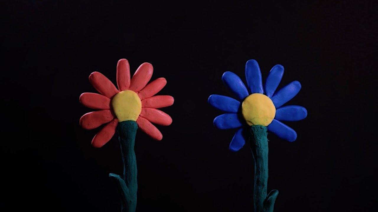 Bloom Trailer