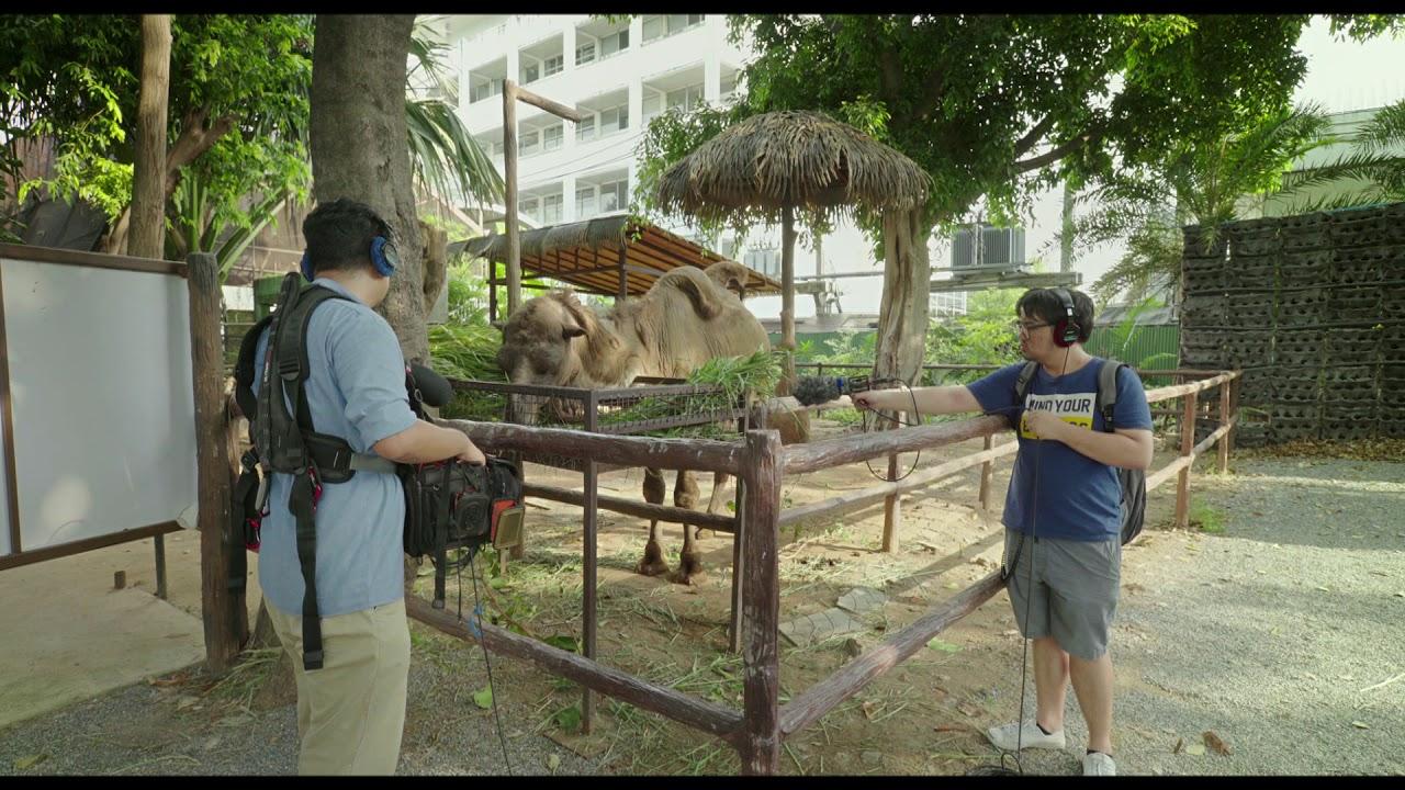 Death of the Sound Man Trailer