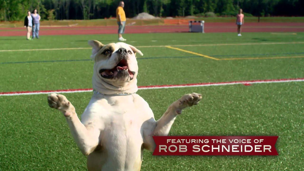 Pups United Trailer