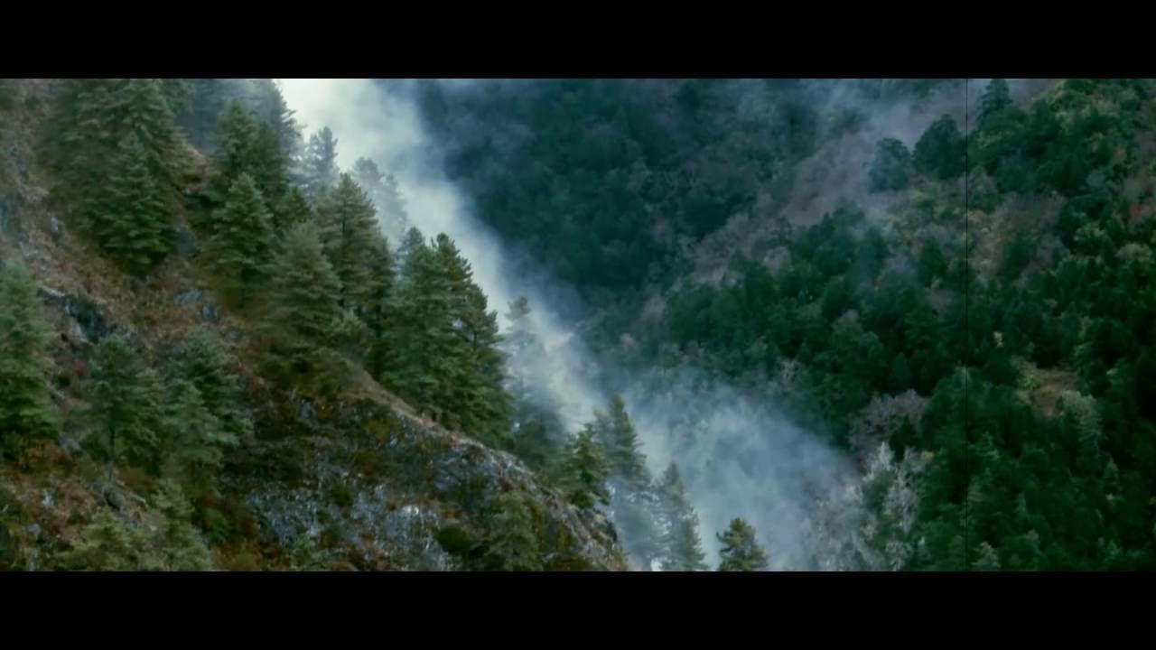 Monsters in the Woods Trailer