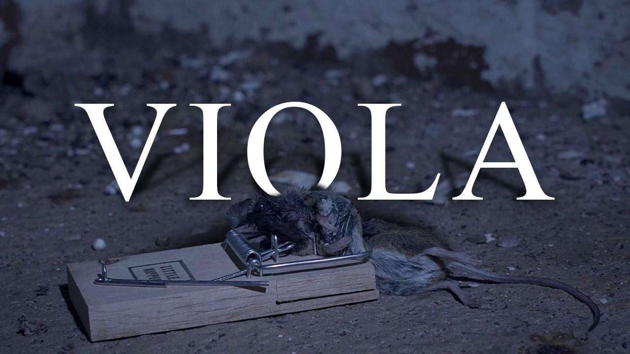 Viola Trailer