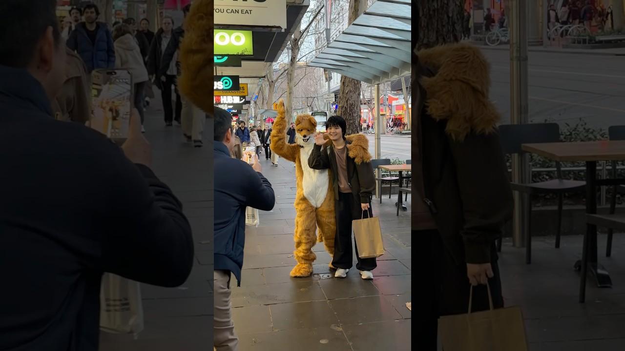 The Fox Trailer