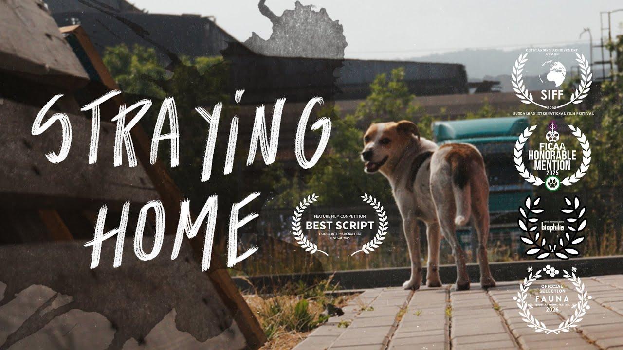 Straying home Trailer