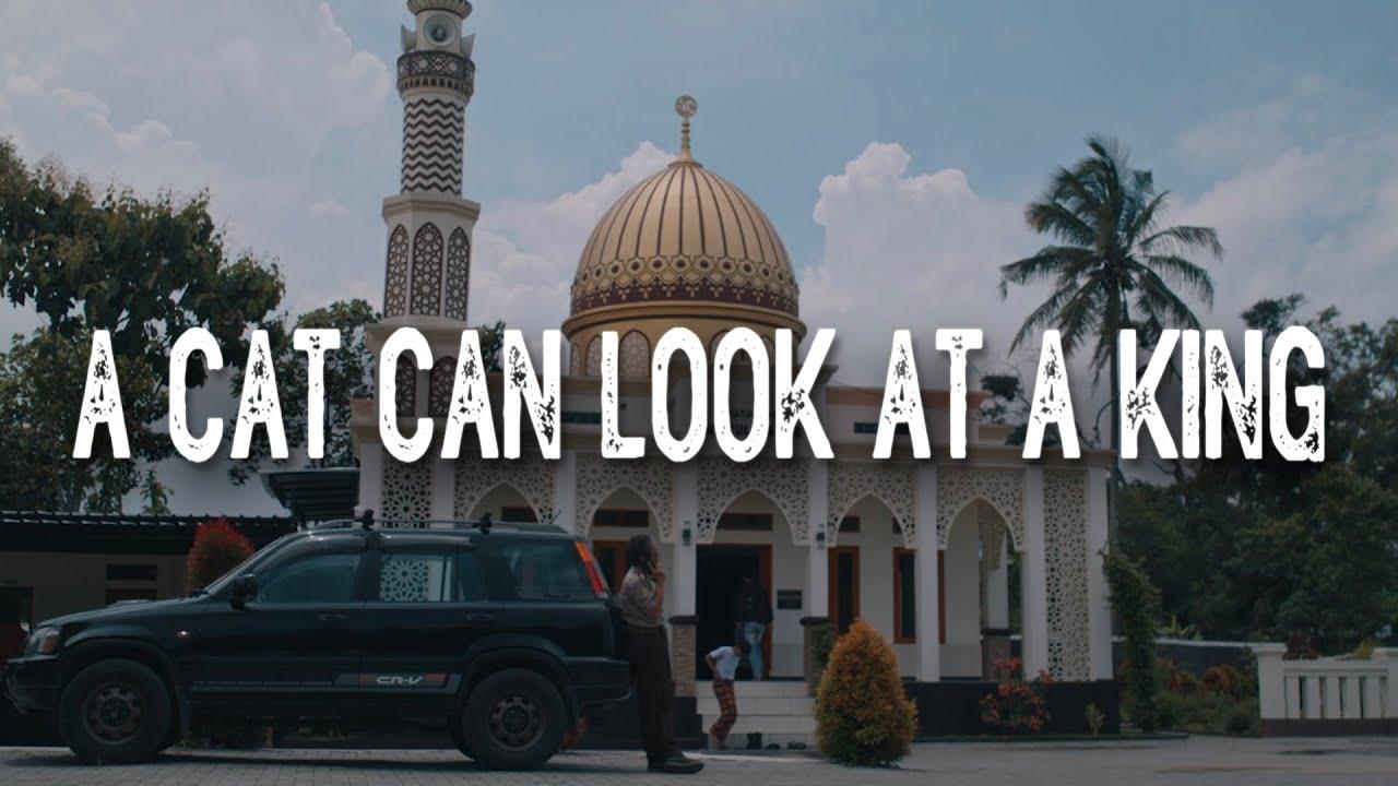 A Cat Can Look at a King Trailer