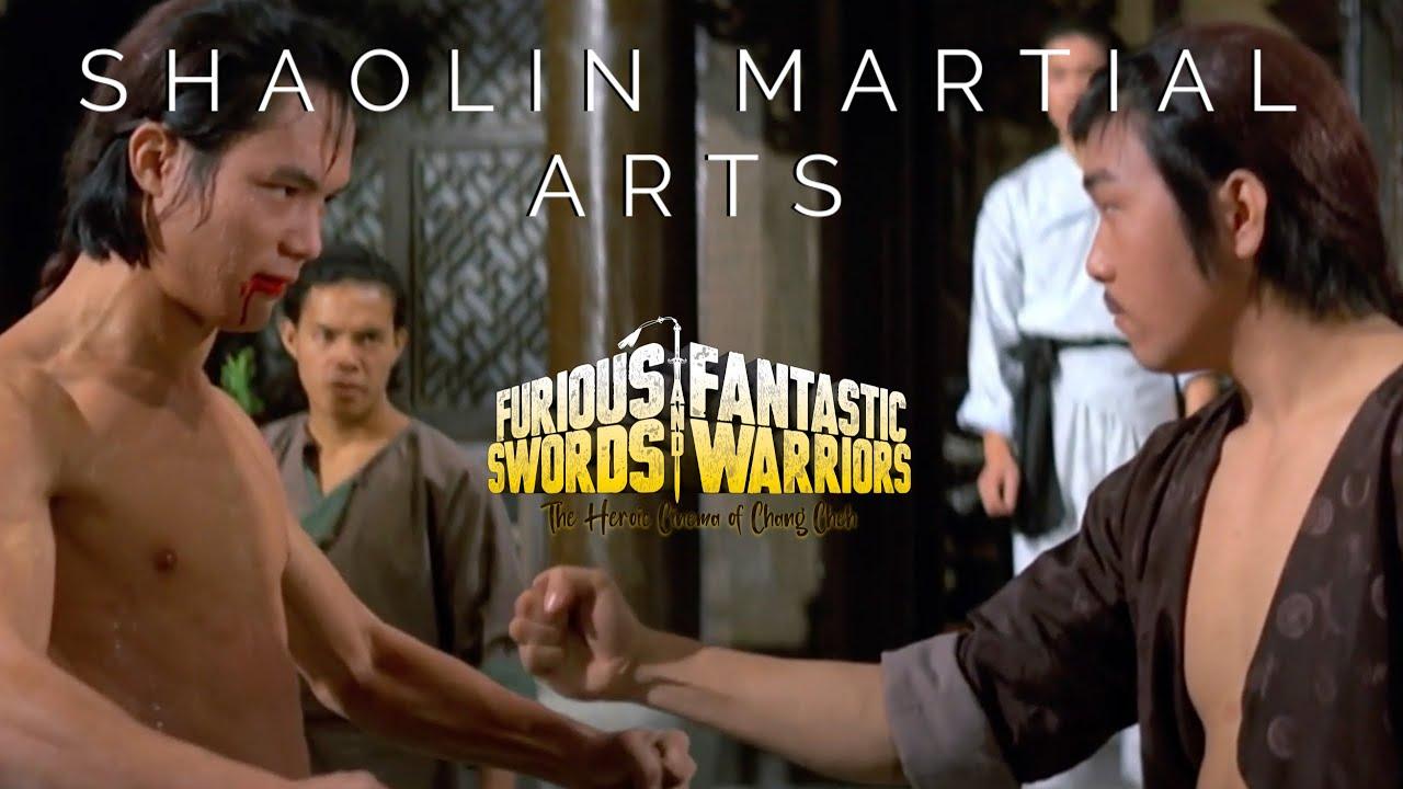 Shaolin Martial Arts Trailer