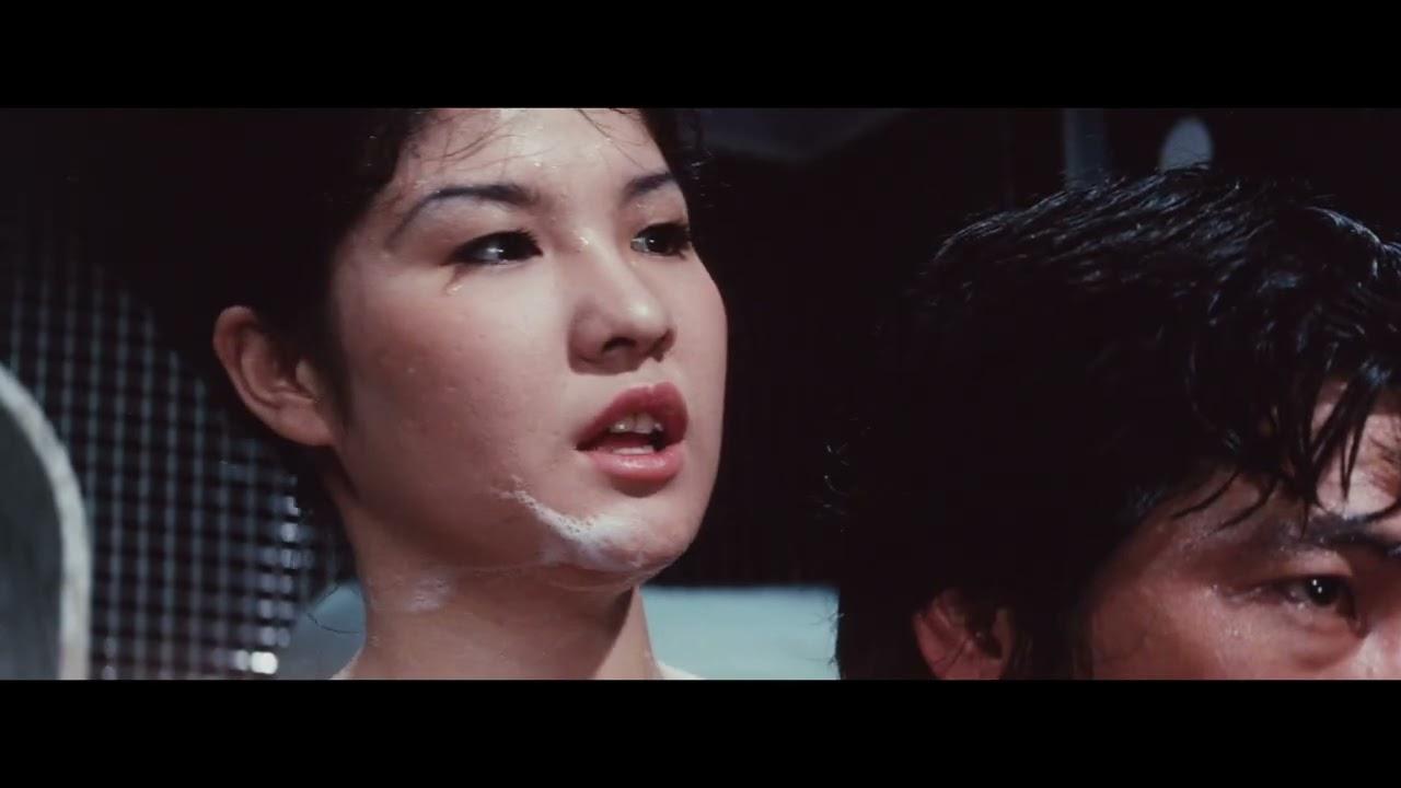 Night of the Felines Trailer