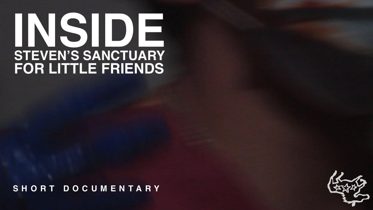 Inside Steven's Sanctuary For Little Friends Trailer
