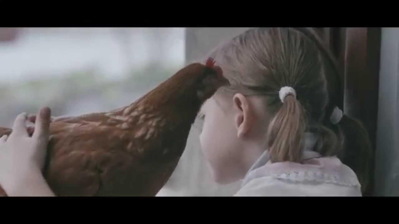 The Chicken Trailer