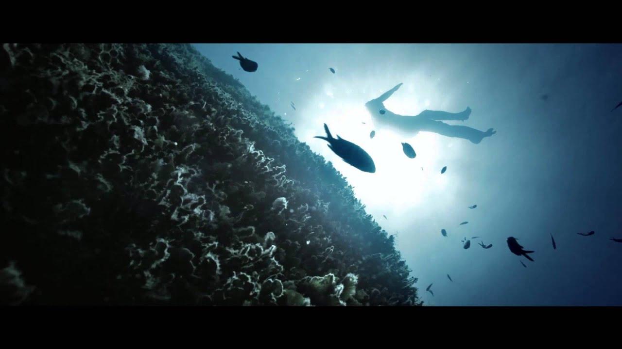Narcose Trailer