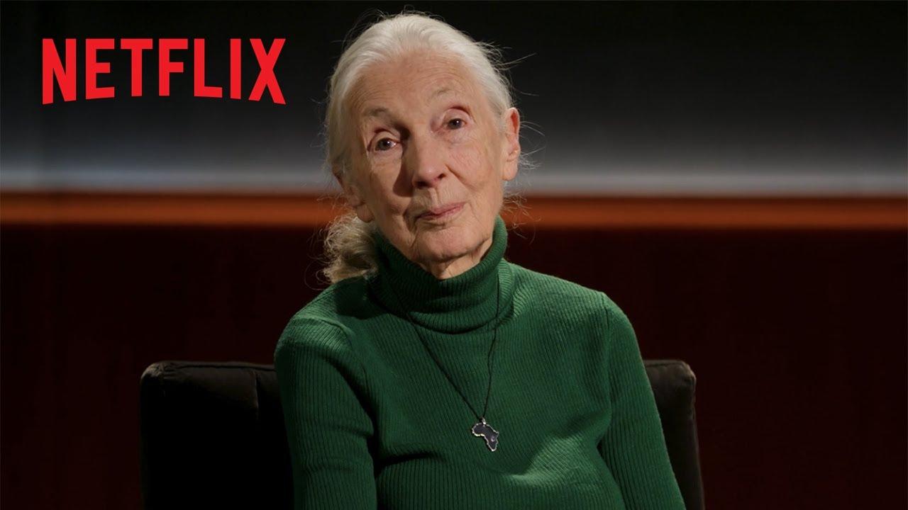 Famous Last Words: Dr. Jane Goodall Trailer