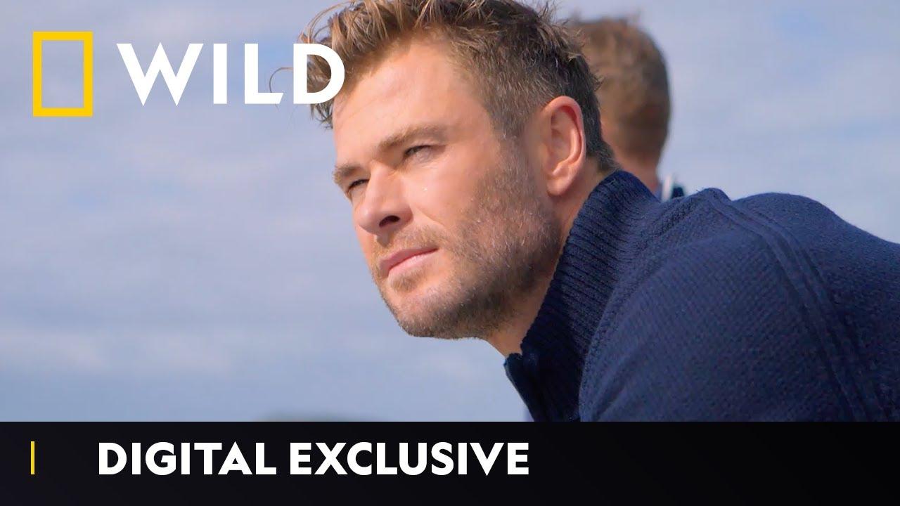 Shark Beach with Chris Hemsworth Trailer