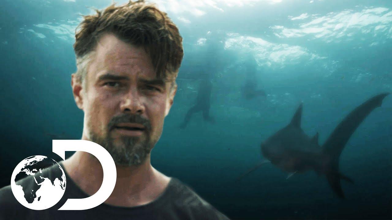 Capsized: Blood in the Water Trailer