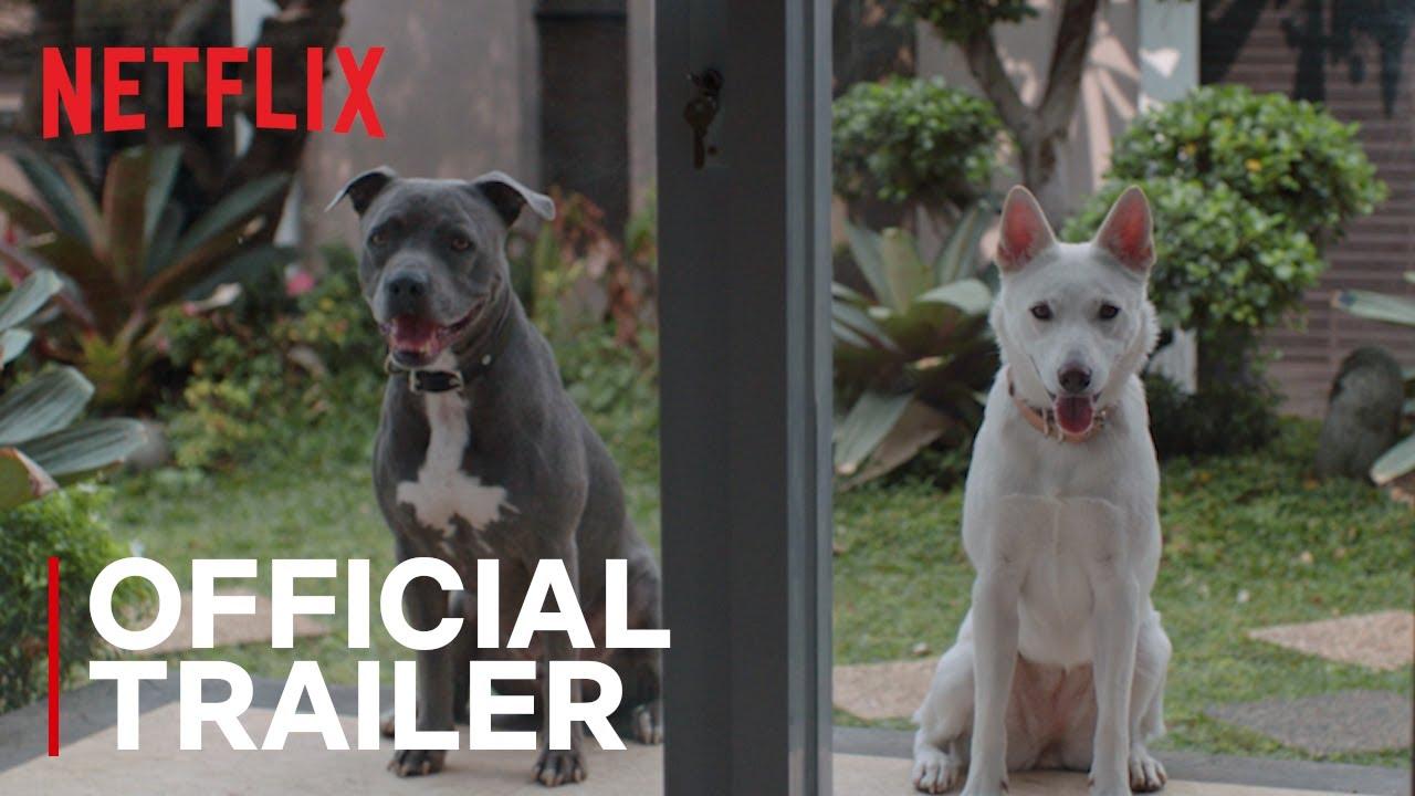 June & Kopi Trailer