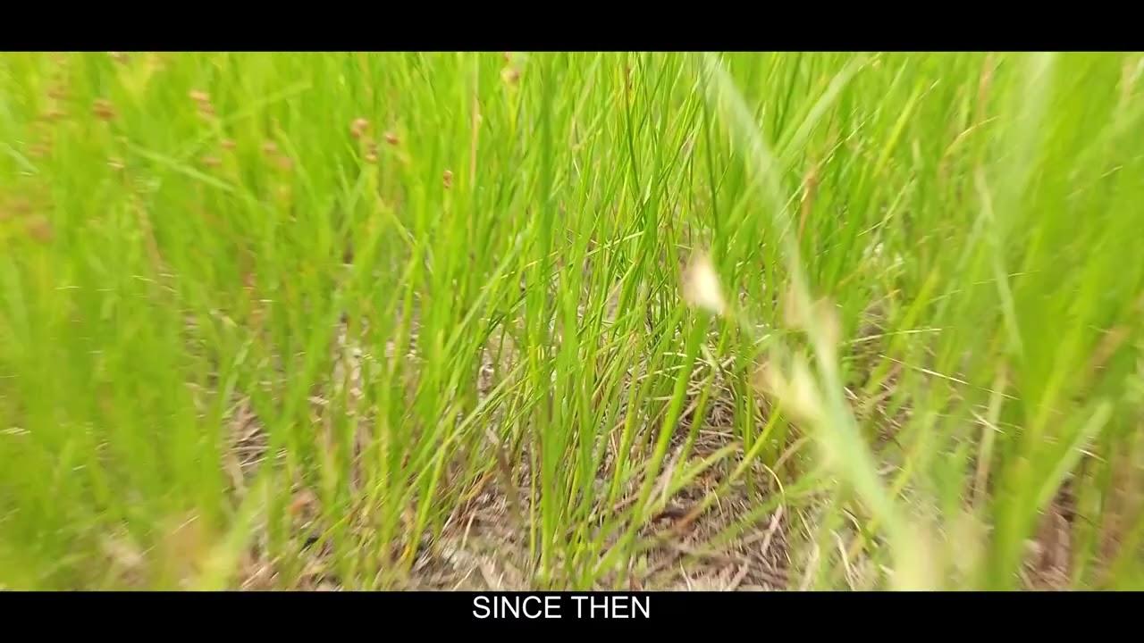 Our War Trailer