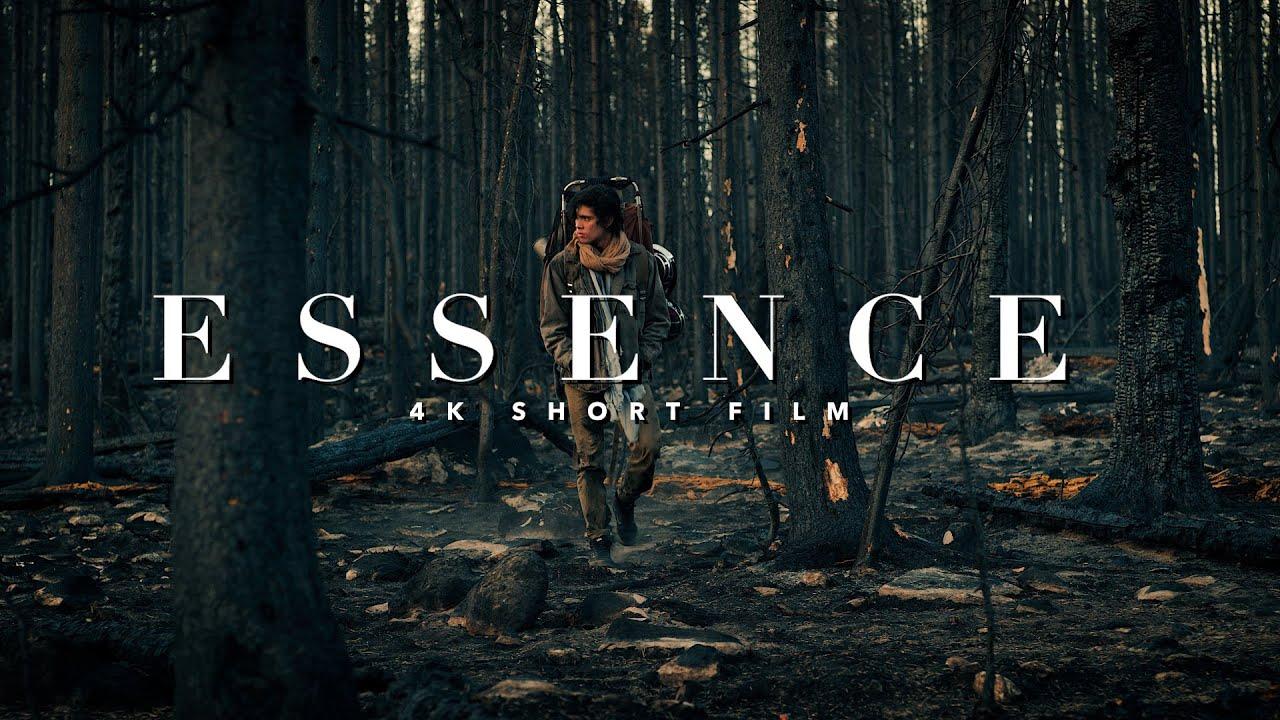 Essence Trailer