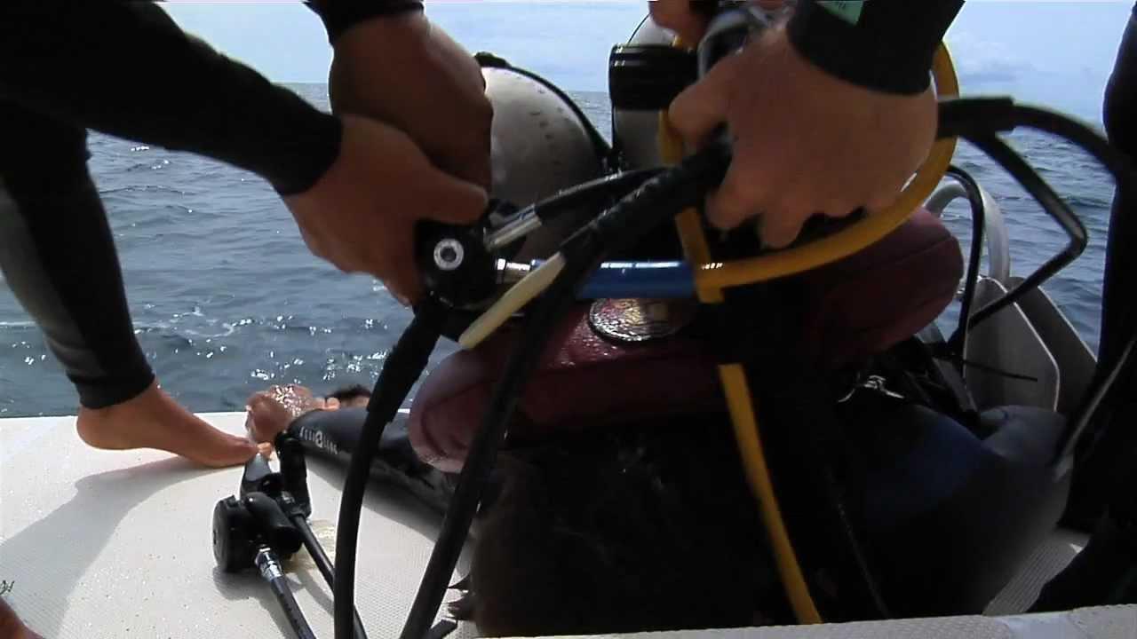 Black Coral Trailer