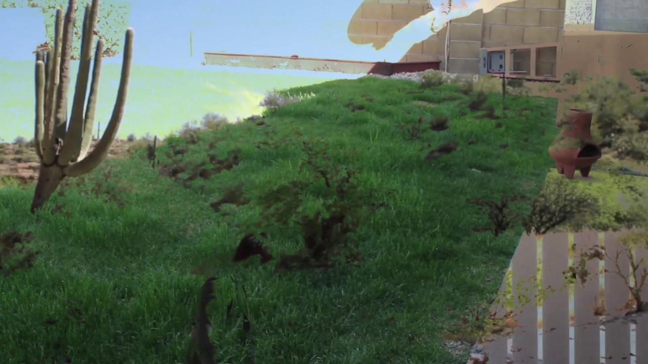 Entrance to the Grand Burial Chamber Trailer