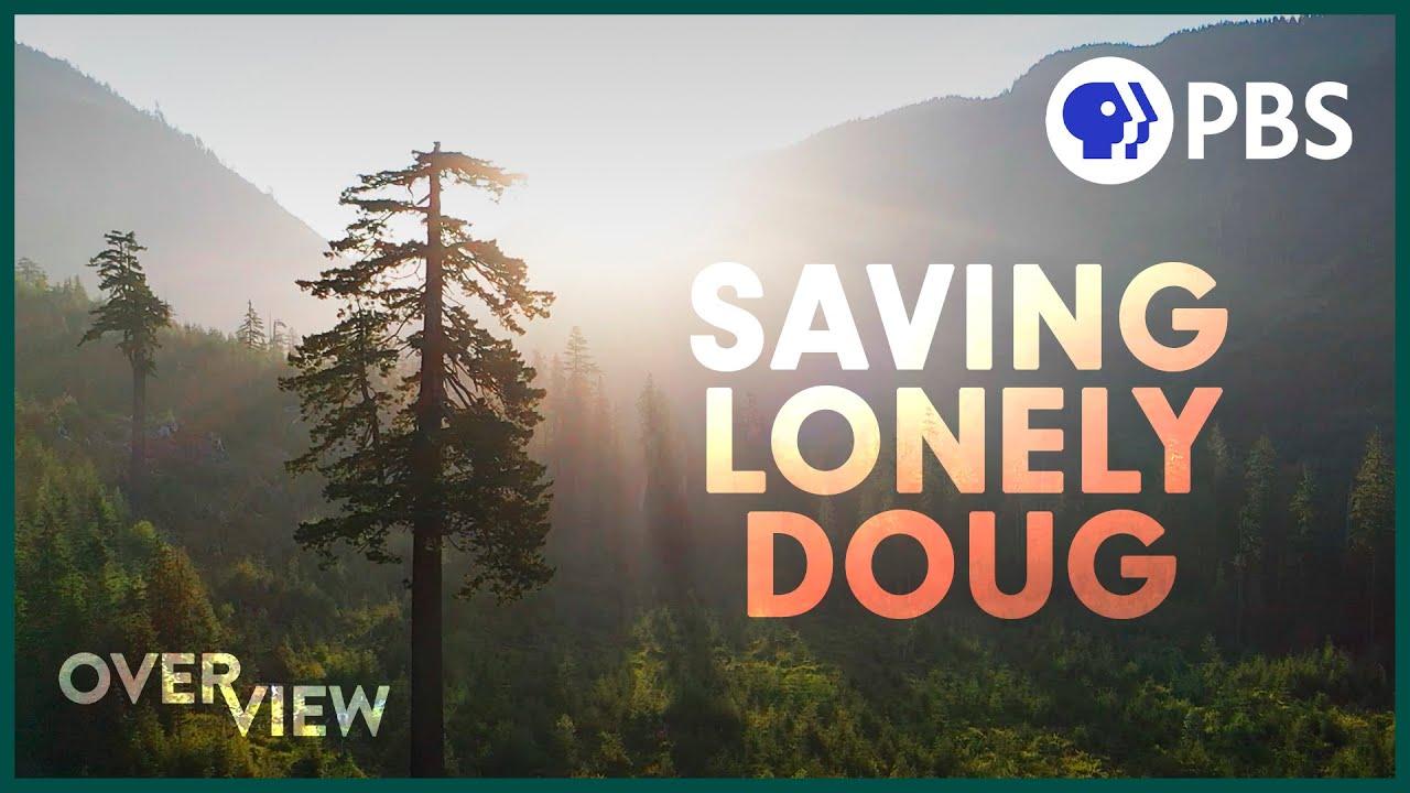 Inside the Fight to Save an Ancient Forest (and the Secrets it Holds) Trailer