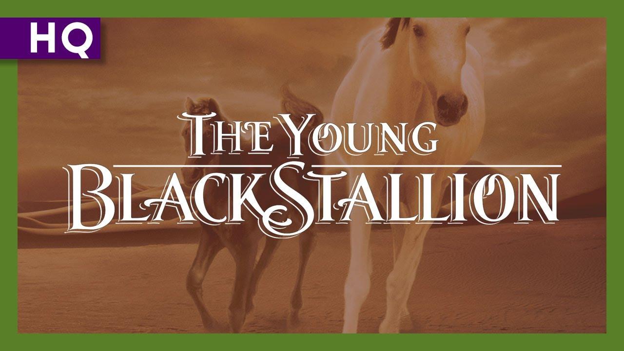 Young Black Stallion Trailer