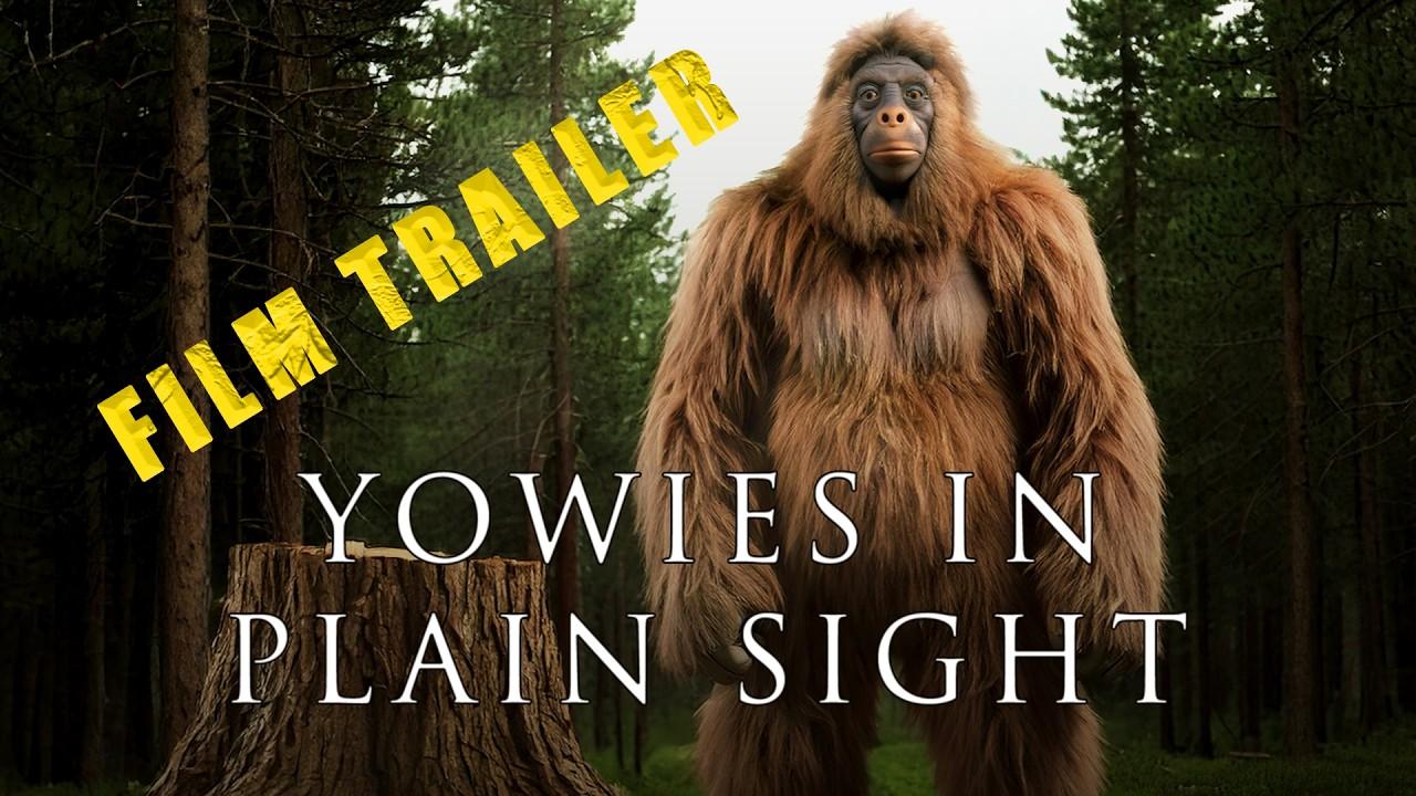 Yowies in Plain Sight Trailer