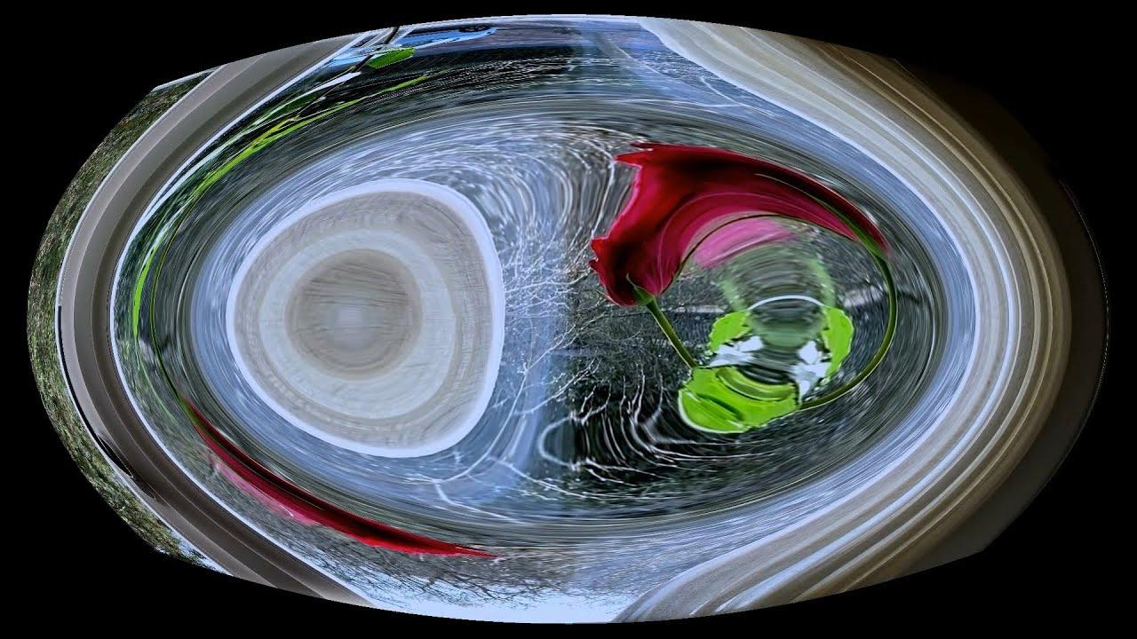 01 Trailer