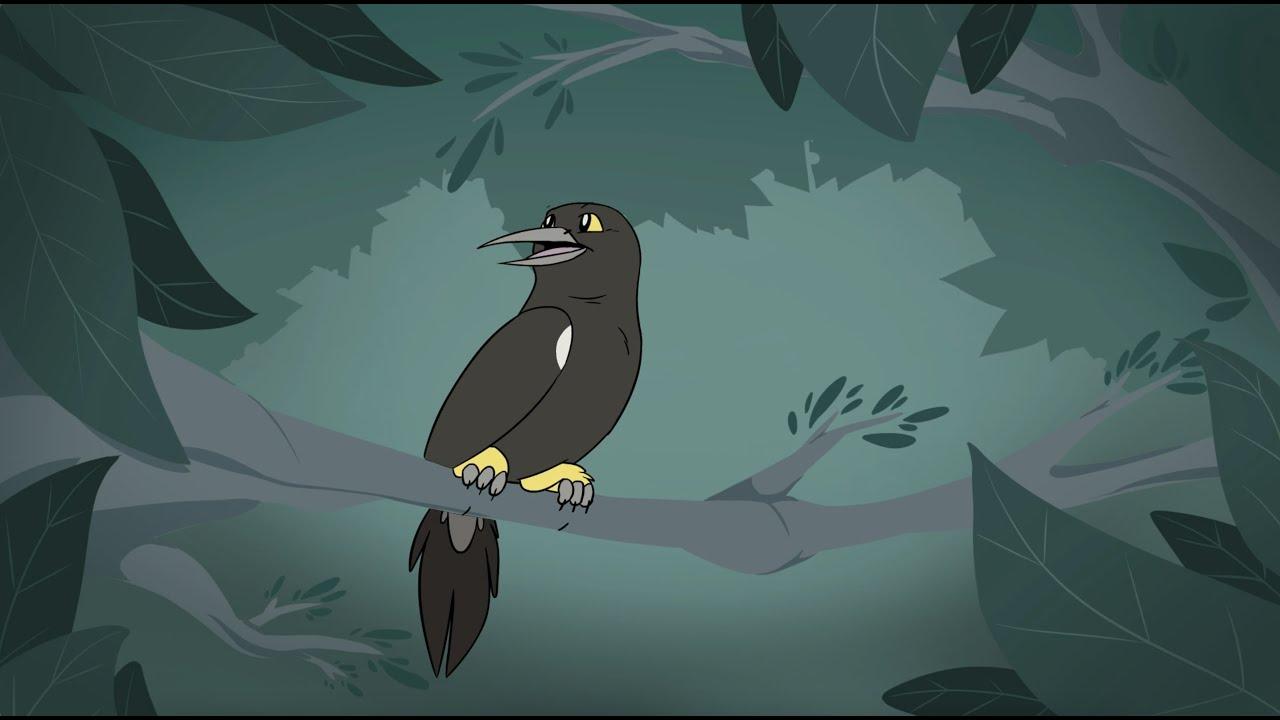 O'o: The Last Voice of Kauai Trailer