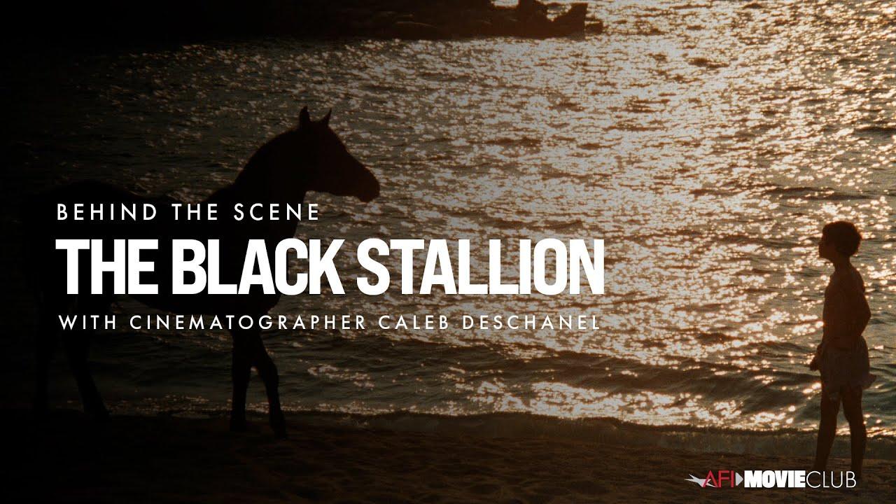 The Black Stallion Trailer