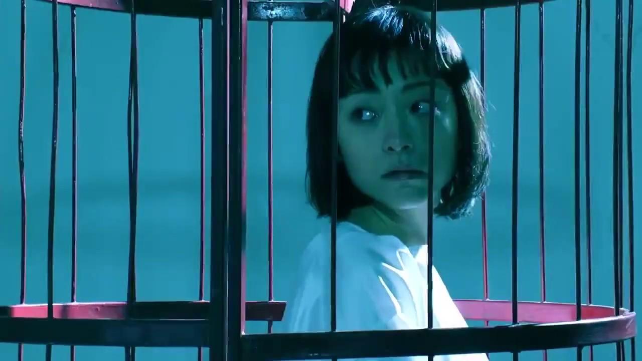 Bird Cage Trailer
