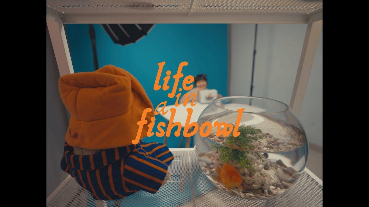Life in a Fishbowl Trailer